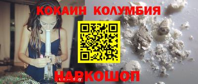 СК Гатчина
