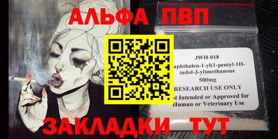 СК Гатчина