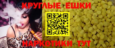СК Гатчина