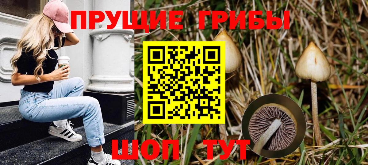 Мценск  Галлюциногенные грибы мицелий  Вход с VPN 