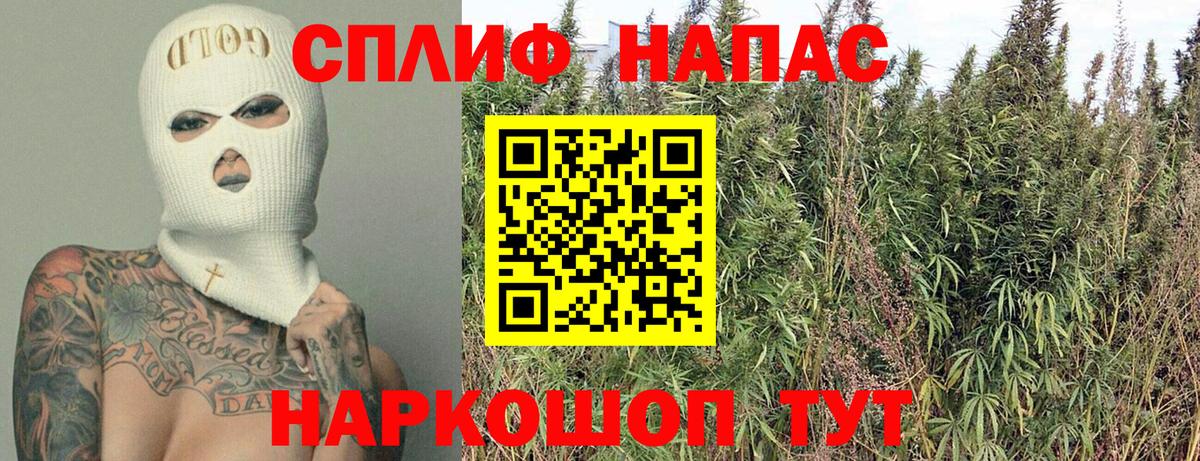 Канабис конопля Мценск